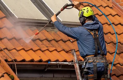 Démoussage et hydrofuge de toiture à Parnans